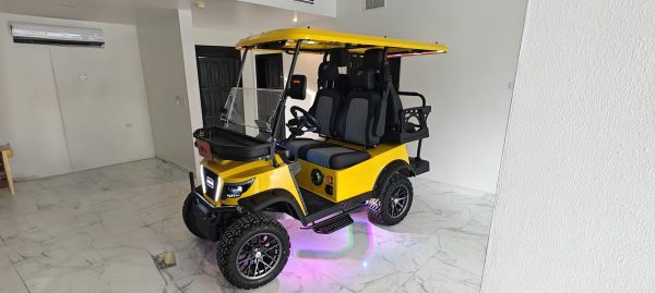 2+2seater-1