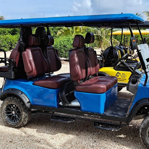 4+2seater-1