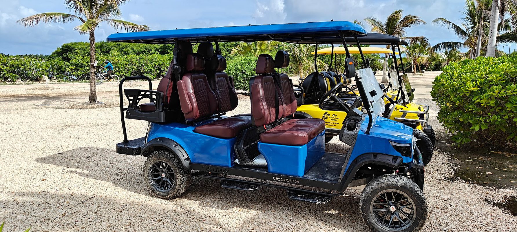 4+2seater-1
